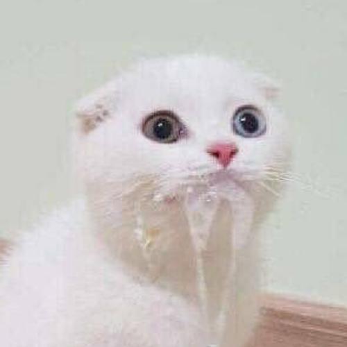 สมาชิกหมายเลข 5980477