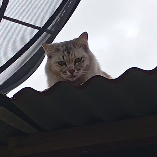 สมาชิกหมายเลข 1644045