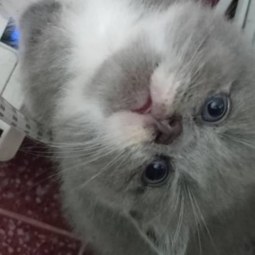 สมาชิกหมายเลข 8193397