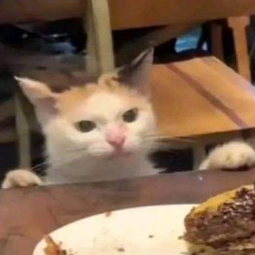 สมาชิกหมายเลข 3736168