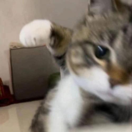 สมาชิกหมายเลข 5027994