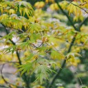 สมาชิกหมายเลข 3805590