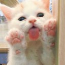 สมาชิกหมายเลข 3861499