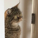 สมาชิกหมายเลข 4328908