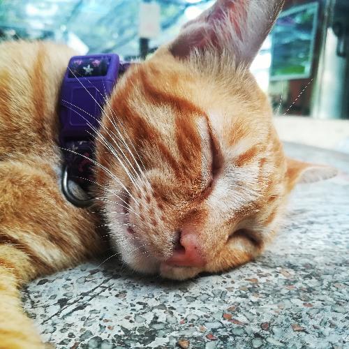 สมาชิกหมายเลข 3615309