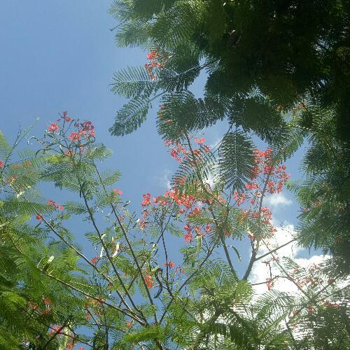 สมาชิกหมายเลข 4700616