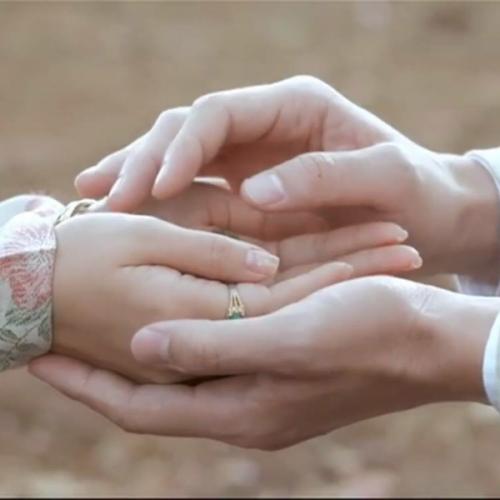 สมาชิกหมายเลข 1652591