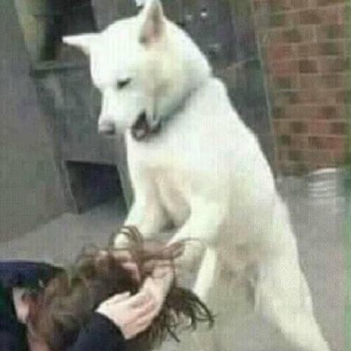 สมาชิกหมายเลข 4416586