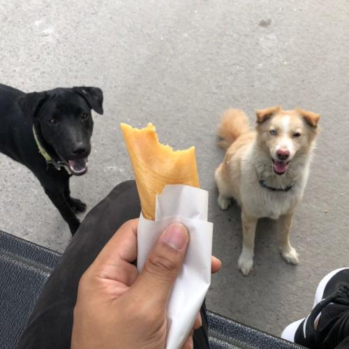 สมาชิกหมายเลข 4629538