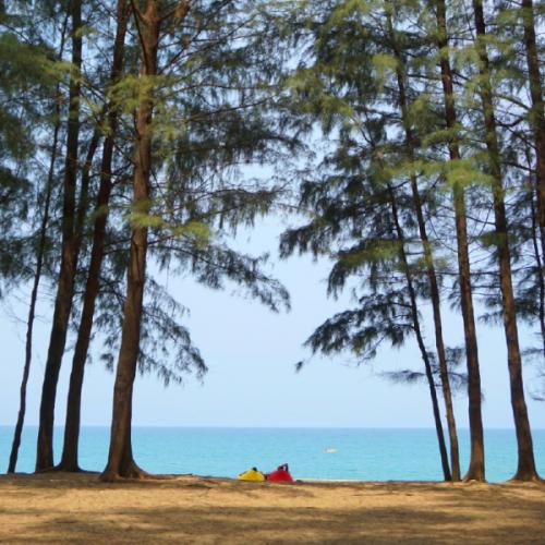 สมาชิกหมายเลข 5986287