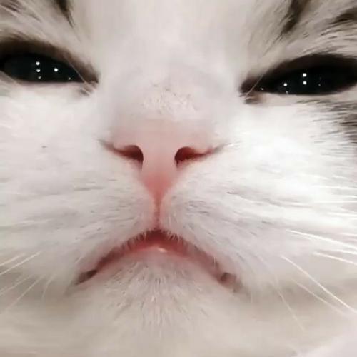 สมาชิกหมายเลข 5986637