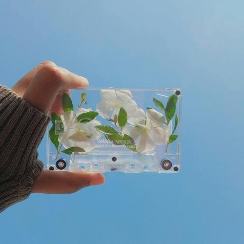 สมาชิกหมายเลข 5986639