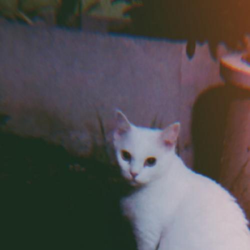 สมาชิกหมายเลข 6596083