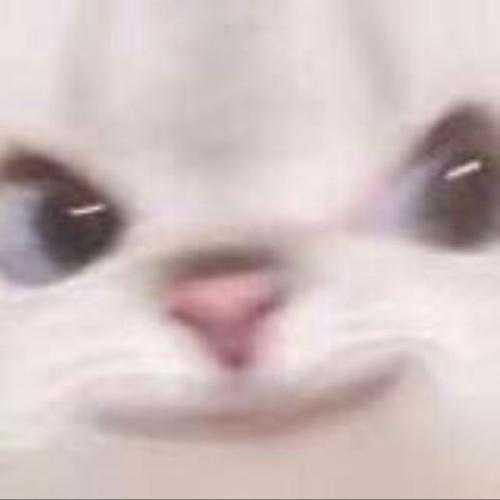 สมาชิกหมายเลข 5312514