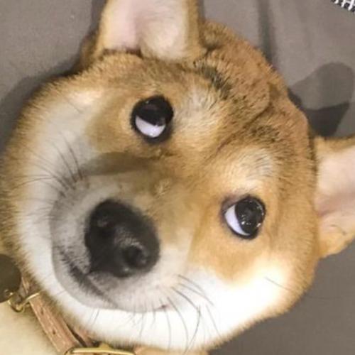 สมาชิกหมายเลข 5371597