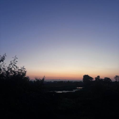 สมาชิกหมายเลข 7249361