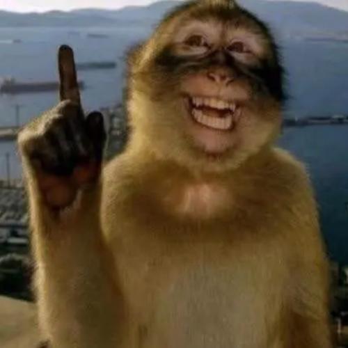 สมาชิกหมายเลข 8548894