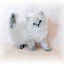 สมาชิกหมายเลข 3861861