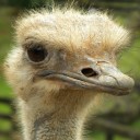 สมาชิกหมายเลข 3862222