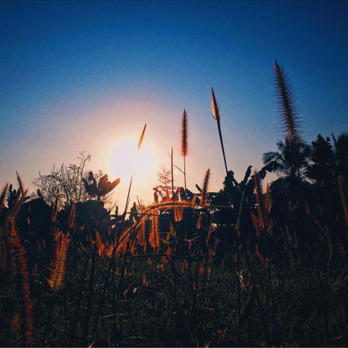 สมาชิกหมายเลข 1347283