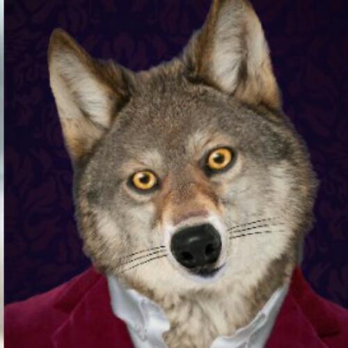 สมาชิกหมายเลข 4229849