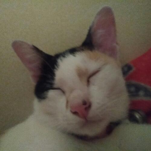 สมาชิกหมายเลข 1741357