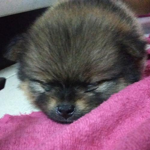 สมาชิกหมายเลข 5451776