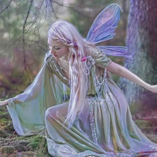 สมาชิกหมายเลข 5462365