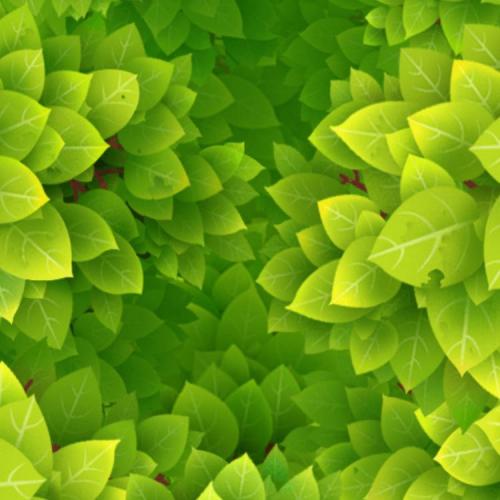 สมาชิกหมายเลข 5462369