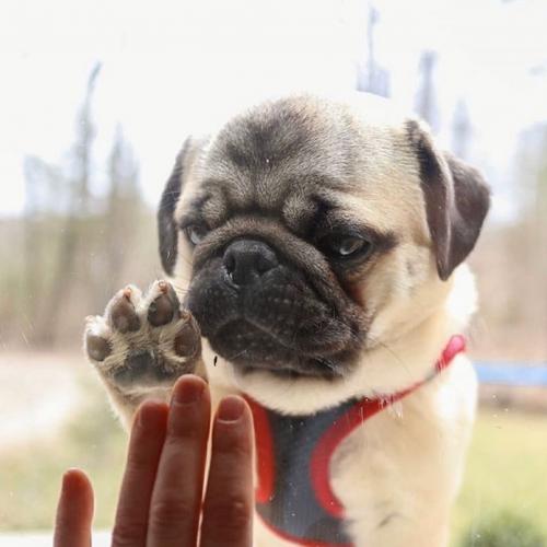 สมาชิกหมายเลข 4675562