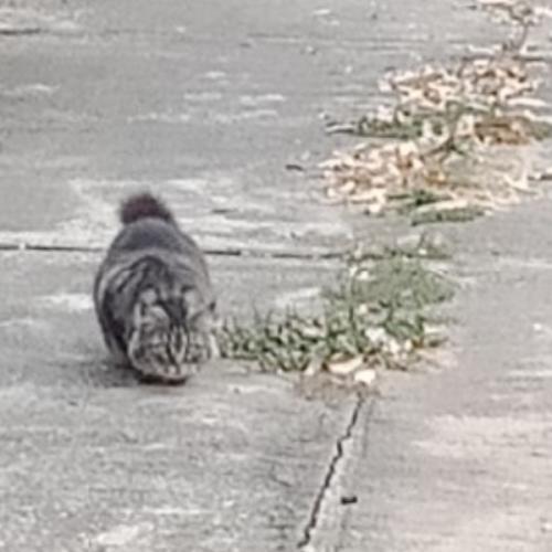 สมาชิกหมายเลข 5927740