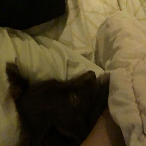 สมาชิกหมายเลข 5986955