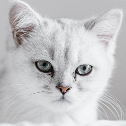 พายทราย