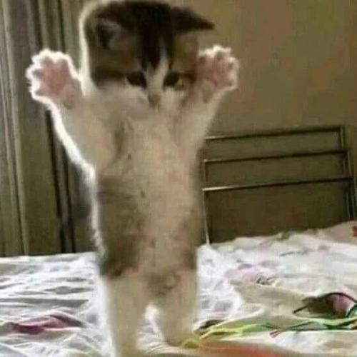 สมาชิกหมายเลข 8197734