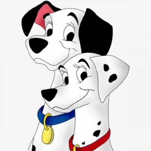 สมาชิกหมายเลข 9208758