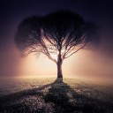 สมาชิกหมายเลข 3862558