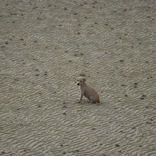 สมาชิกหมายเลข 4717004