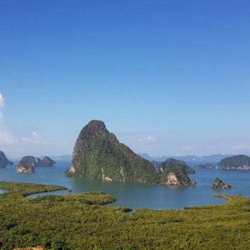 สมาชิกหมายเลข 4825155