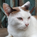 สมาชิกหมายเลข 2243357