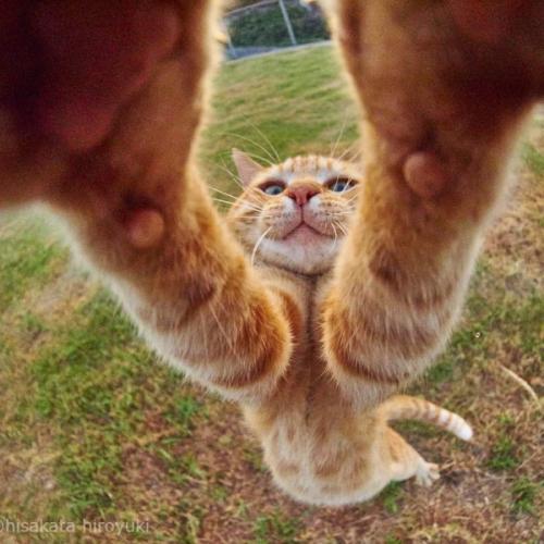 สมาชิกหมายเลข 5457845