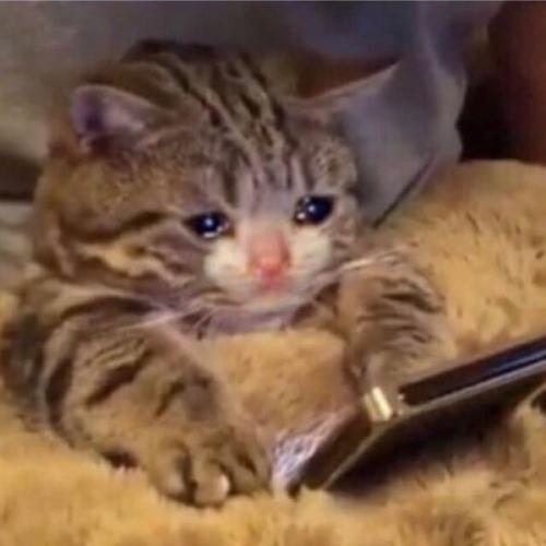 สมาชิกหมายเลข 5450919