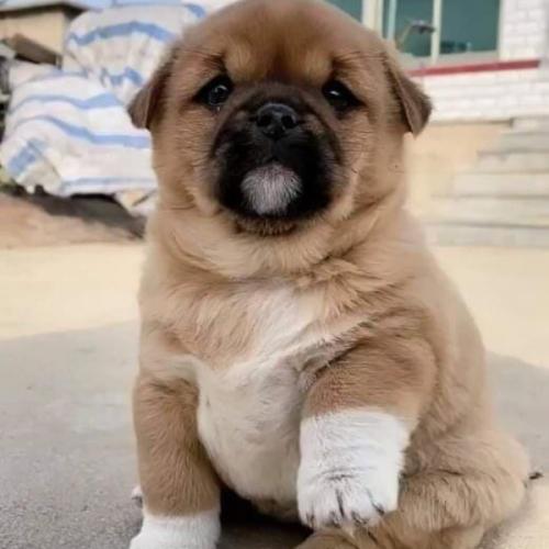 สมาชิกหมายเลข 3262224