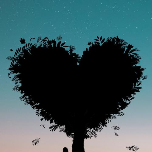 สมาชิกหมายเลข 5923816