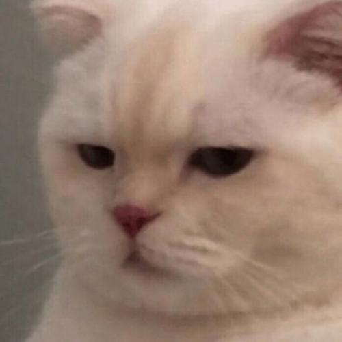 สมาชิกหมายเลข 8199631