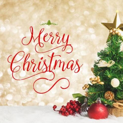 สมาชิกหมายเลข 6541609