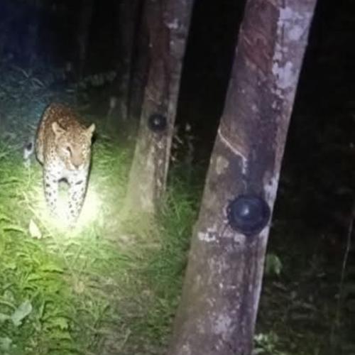 สมาชิกหมายเลข 9211945