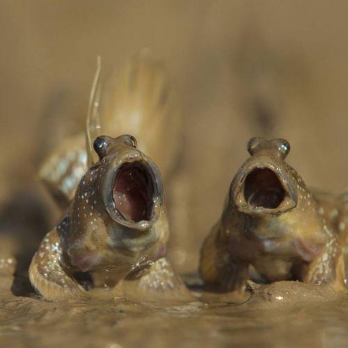 สมาชิกหมายเลข 4701543