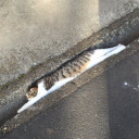 สมาชิกหมายเลข 4701654