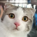 สมาชิกหมายเลข 3902733