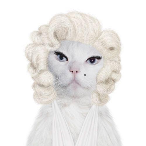 สมาชิกหมายเลข 5069822